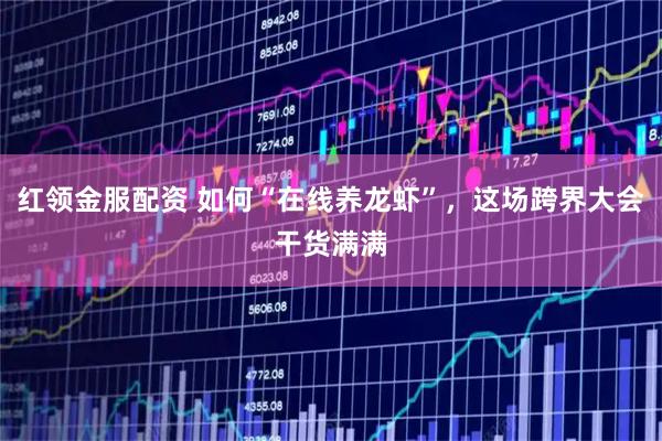 红领金服配资 如何“在线养龙虾”，这场跨界大会干货满满