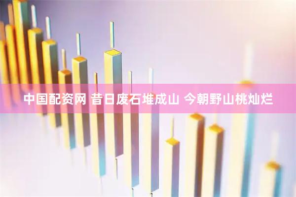 中国配资网 昔日废石堆成山 今朝野山桃灿烂