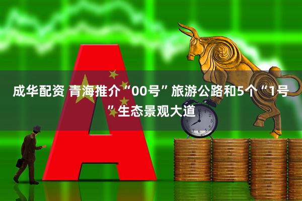 成华配资 青海推介“00号”旅游公路和5个“1号”生态景观大道